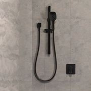 Axiss II Single Spray Slide Shower gallery detail image