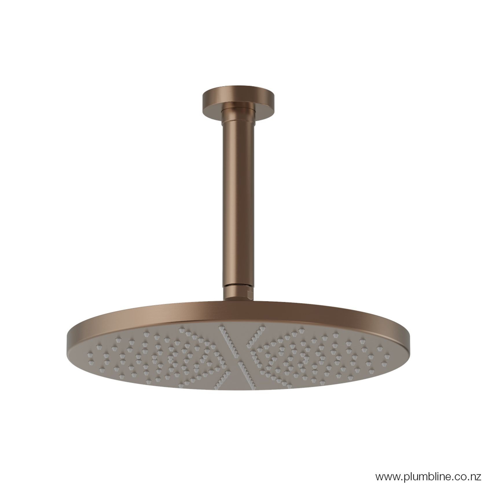 Buddy 250mm Ceiling Mount Rainhead With 150mm Arm gallery detail image