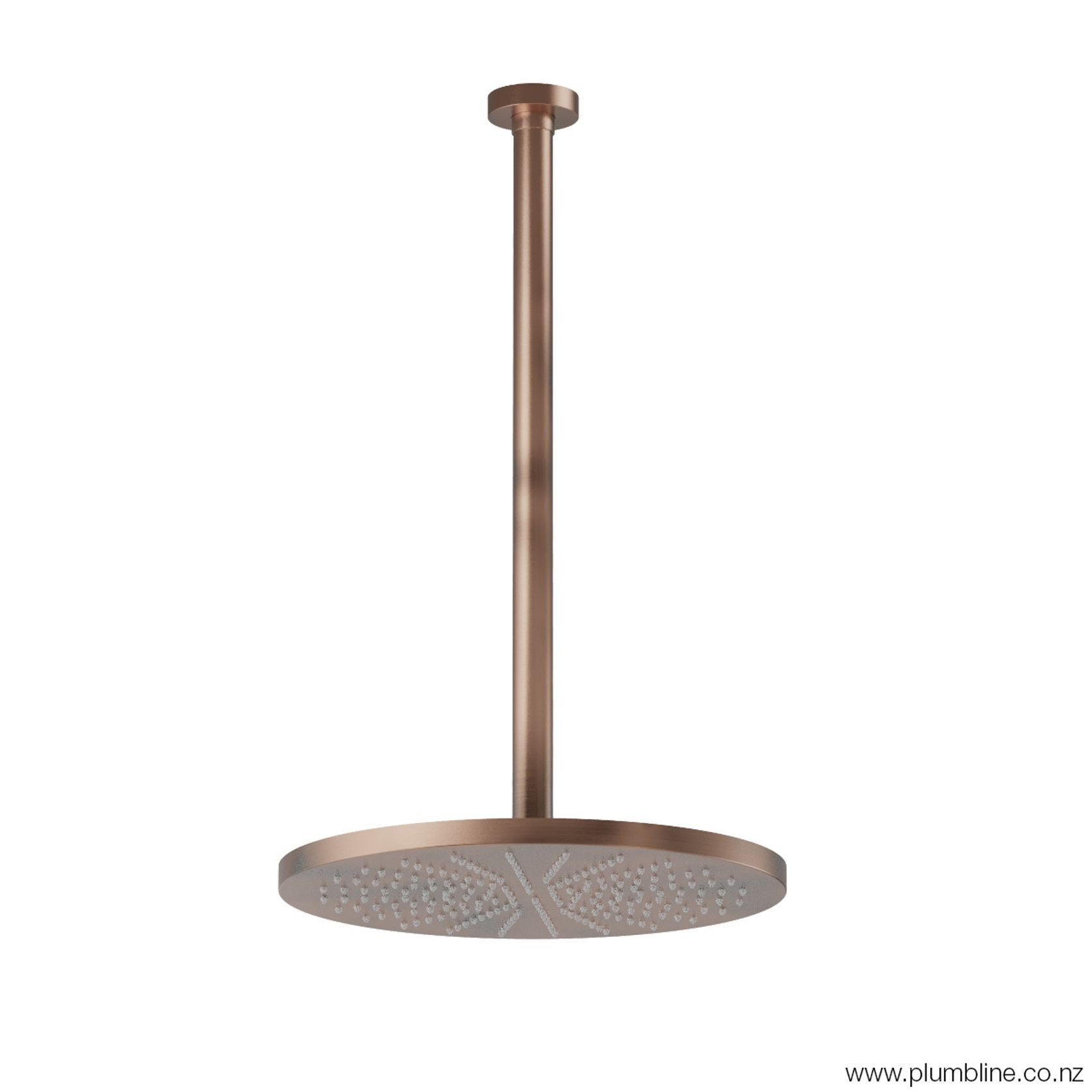 Buddy 300mm Ceiling Mount Rainhead With 450mm Arm gallery detail image