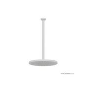 Buddy 300mm Ceiling Mount Rainhead With 450mm Arm gallery detail image