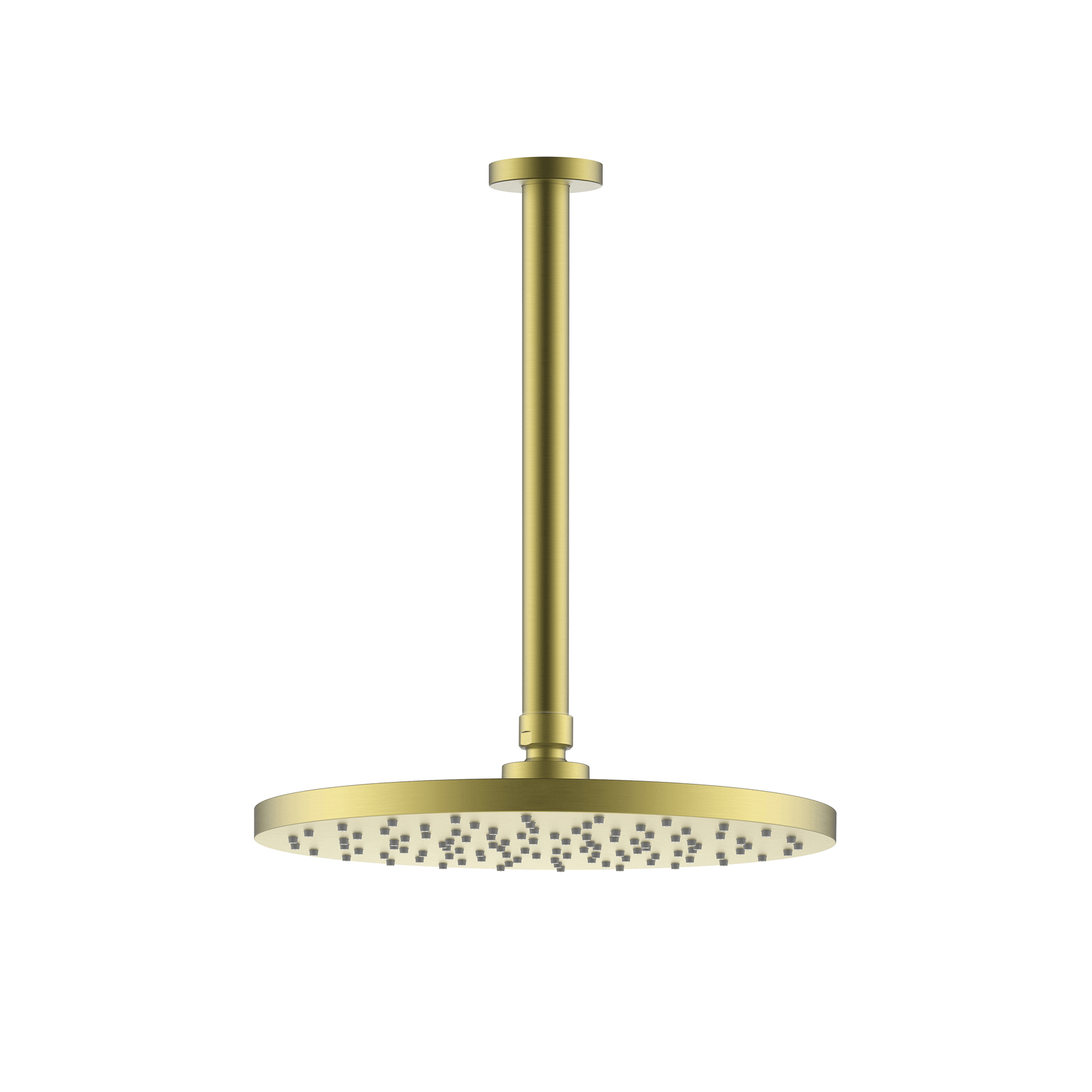 Evoke Shower Rain Head (Ceiling Mount) gallery detail image