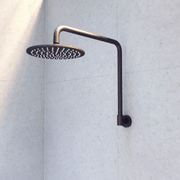ABI Eden Shower Arm gallery detail image