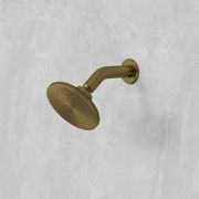 Tate Aerlux® Shower Rose gallery detail image