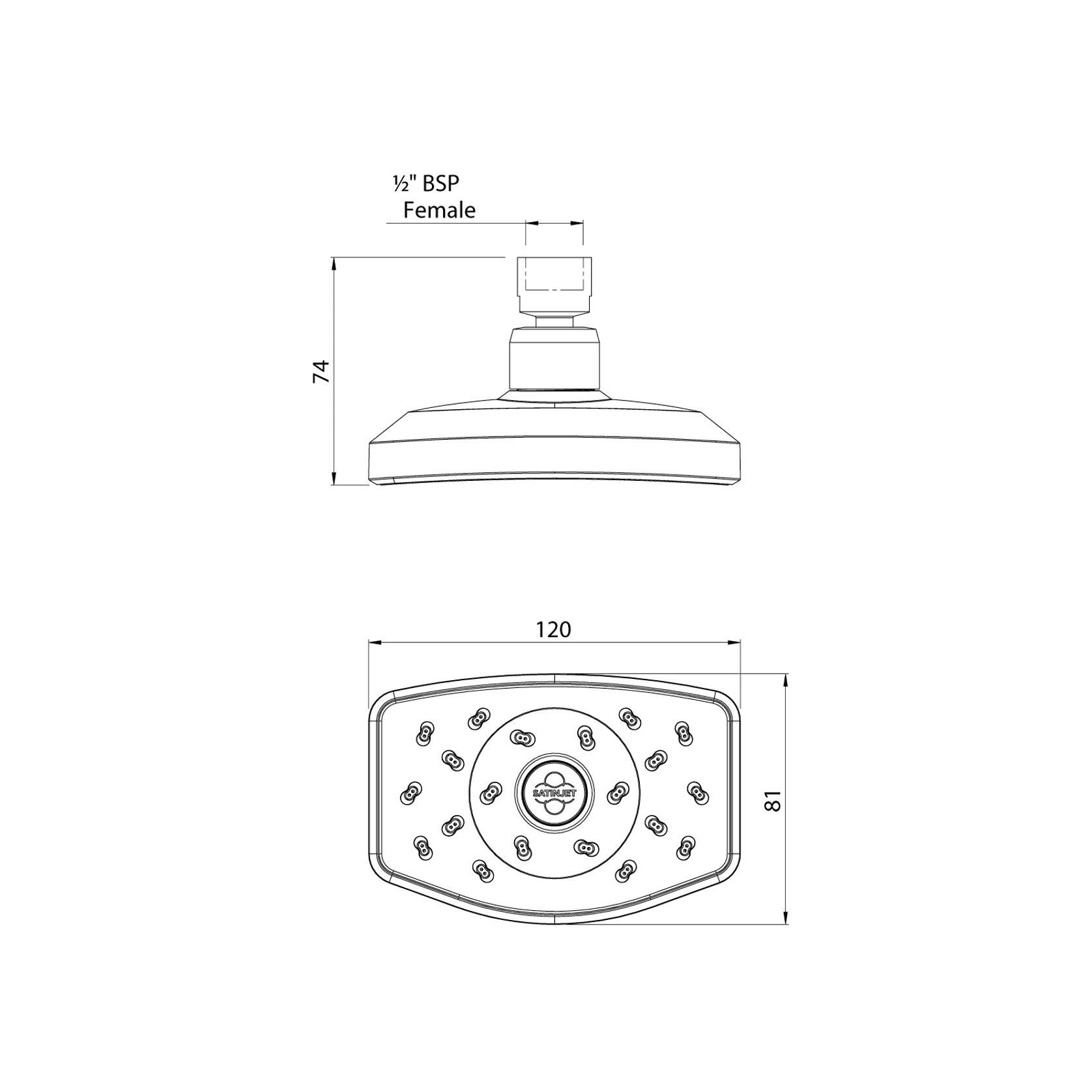 Waipori Satinjet Wall Shower Head ArchiPro NZ
