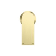 Bianca Shower Mixer 60mm Plate | Brushed Gold gallery detail image