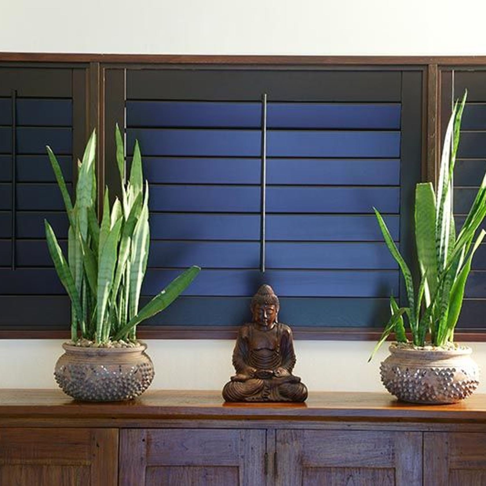 Timber Shutters gallery detail image