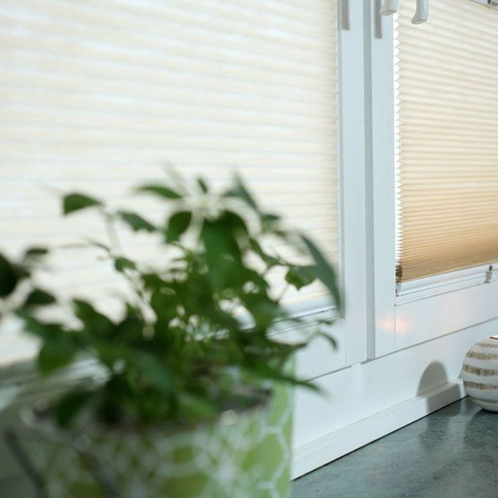 Simply Cell Honeycomb Blinds gallery detail image