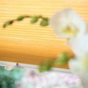 Simply Cell Honeycomb Blinds gallery detail image