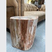 Petrified Wood Occasional Side Table gallery detail image