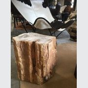 Petrified Wood Occasional Side Table Polish Creams gallery detail image