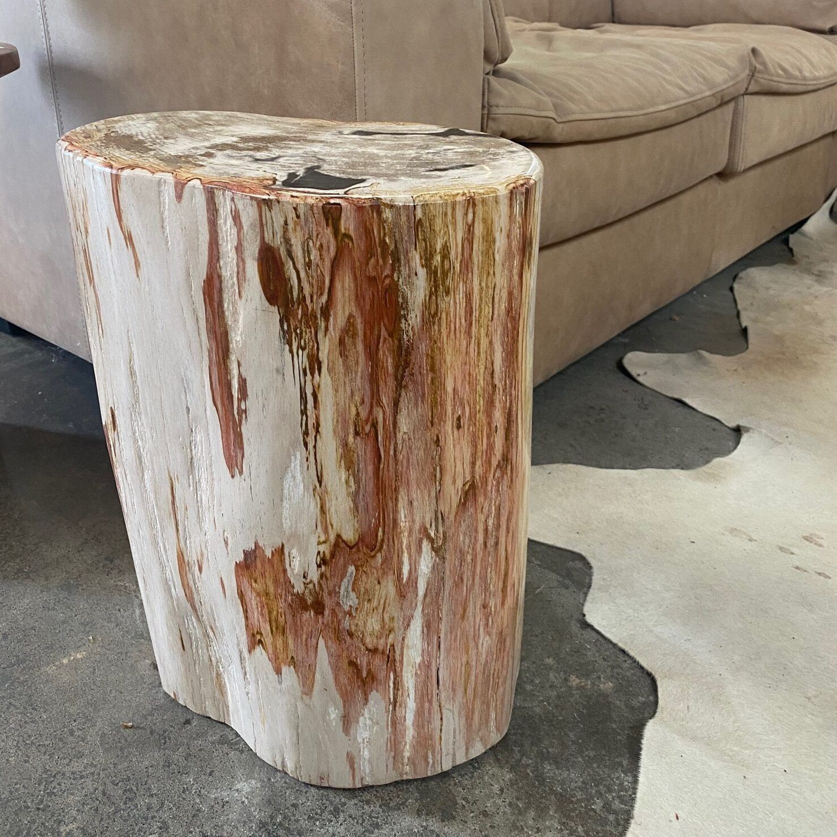 Petrified Wood Occasional Table ArchiPro NZ