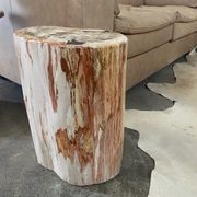 Petrified Wood Occasional Table gallery detail image