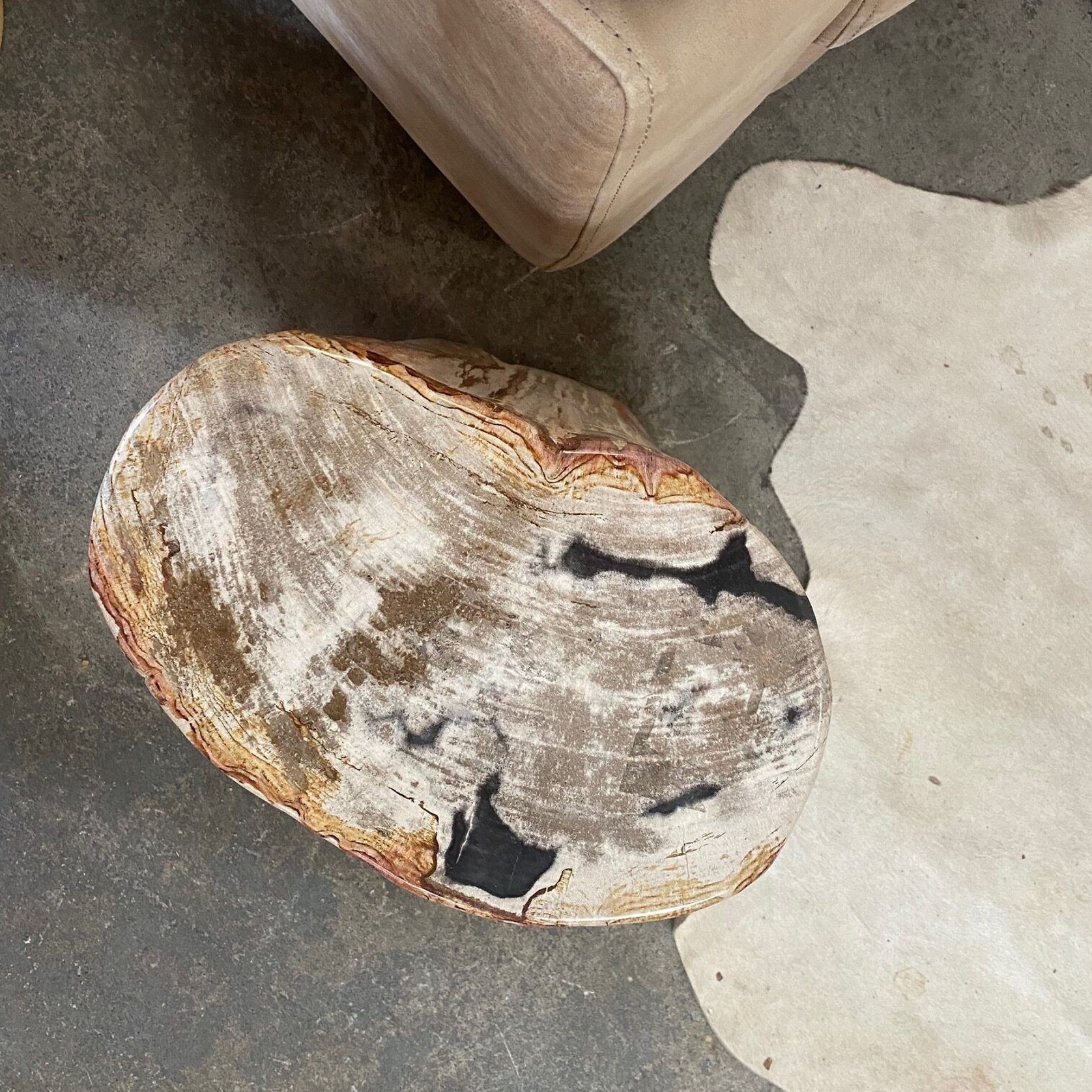 Petrified Wood Occasional Table ArchiPro NZ