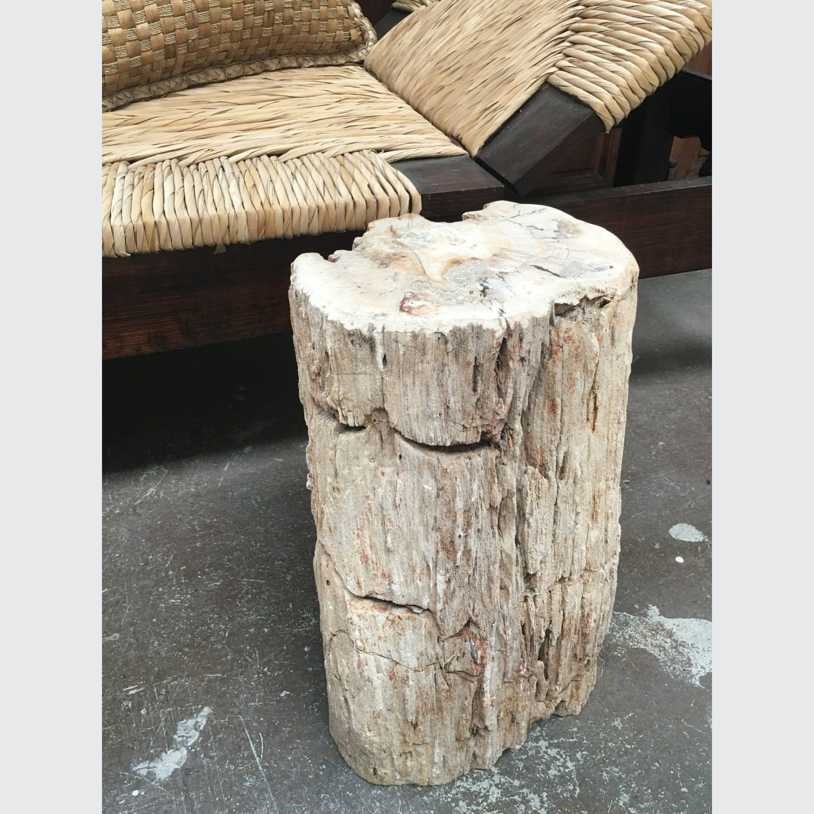 Petrified Wood Occasional Side Table Rustic Bleached gallery detail image