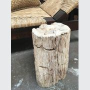 Petrified Wood Occasional Side Table Rustic Bleached gallery detail image
