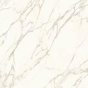Calacatta gallery detail image