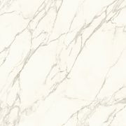 Calacatta gallery detail image