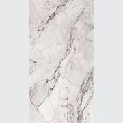 Colorado Dunes gallery detail image