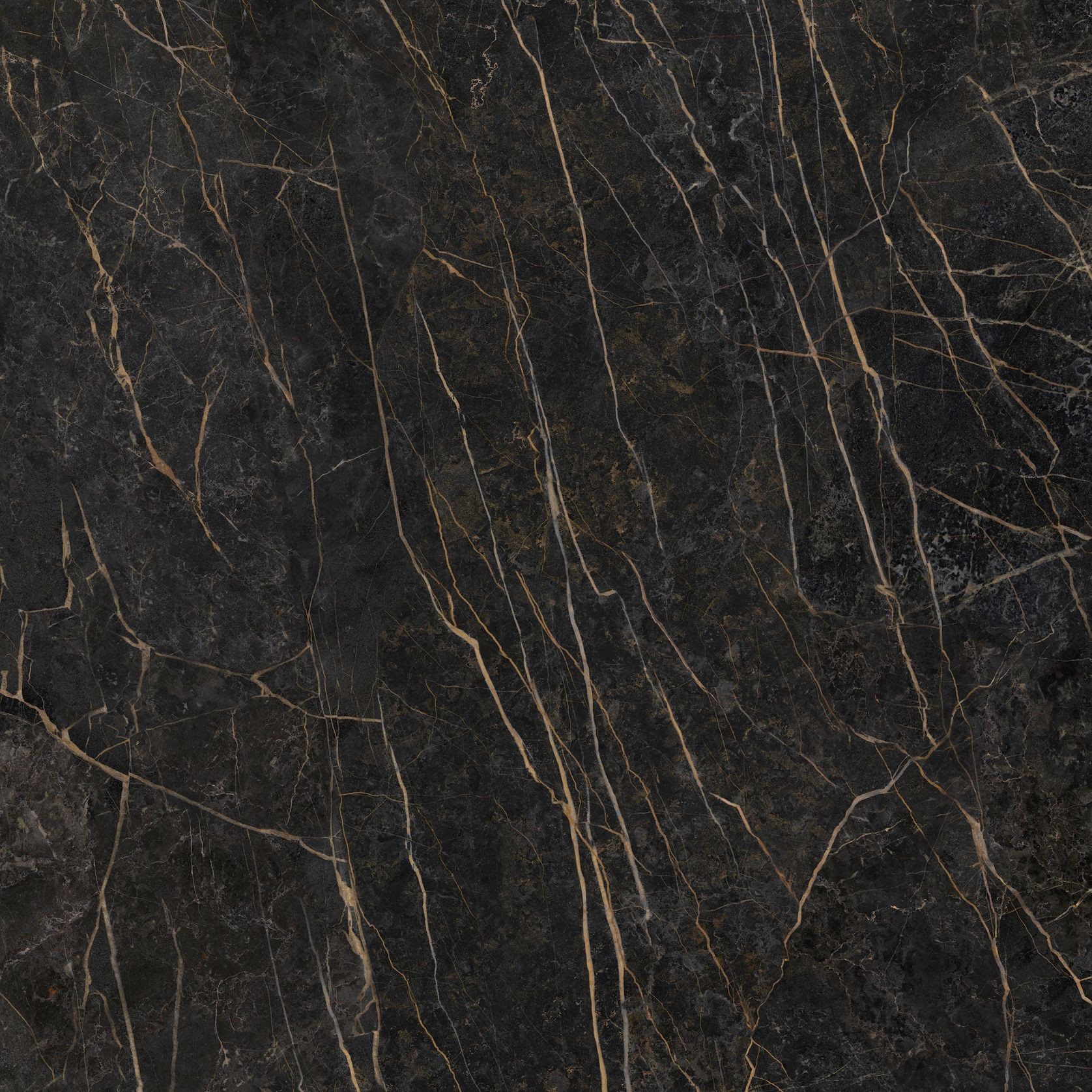 Black Obsession gallery detail image