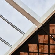 Skylign™ Alpha | Rooflights gallery detail image