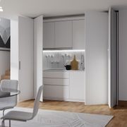 Salice Exedra2 Bifolding Pocket Door gallery detail image