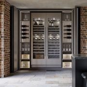 Salice Exedra2 Bifolding Pocket Door gallery detail image