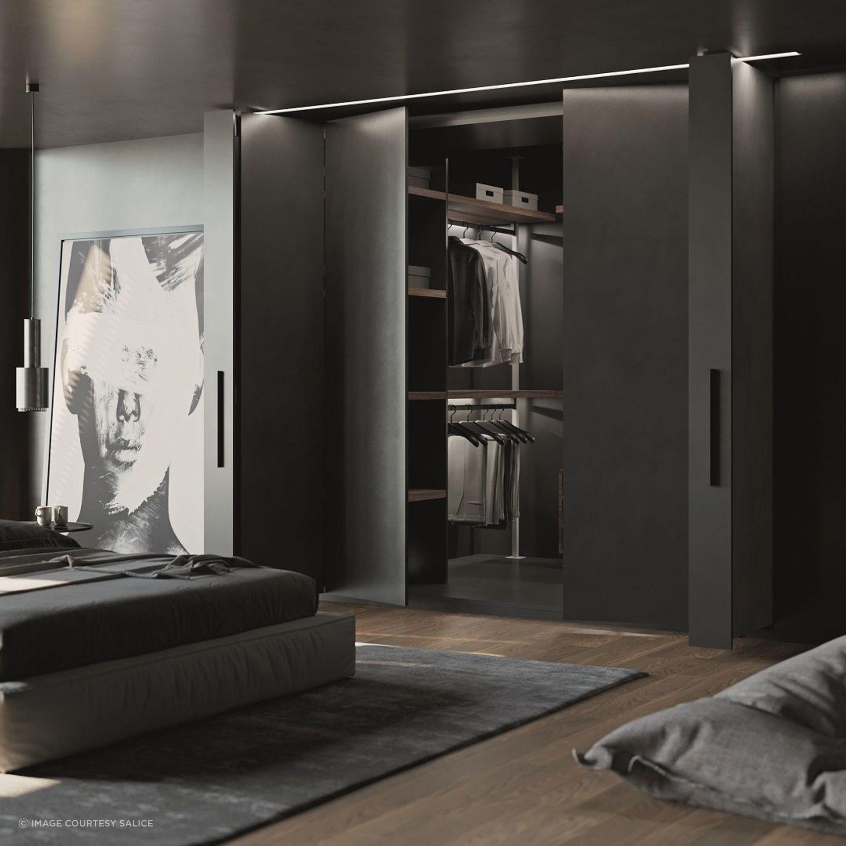 Salice Exedra2 Bifolding Pocket Door gallery detail image