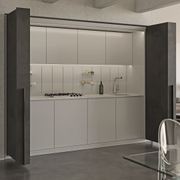 Salice Exedra2 Bifolding Pocket Door gallery detail image