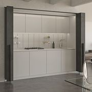 Salice Exedra2 Bifolding Pocket Door gallery detail image