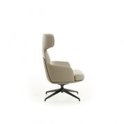 Piccadilly Armchair by Molteni&C gallery detail image