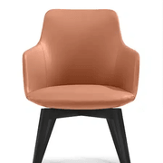 Telopea Arm Chair 3 gallery detail image