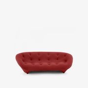 Ploum Large Settee High Back by Ligne Roset gallery detail image