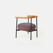 Pa Lounge Chair gallery detail image