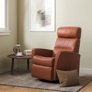 Divani Relaxer gallery detail image