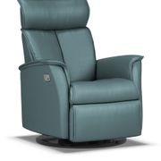 Duke Relaxer gallery detail image