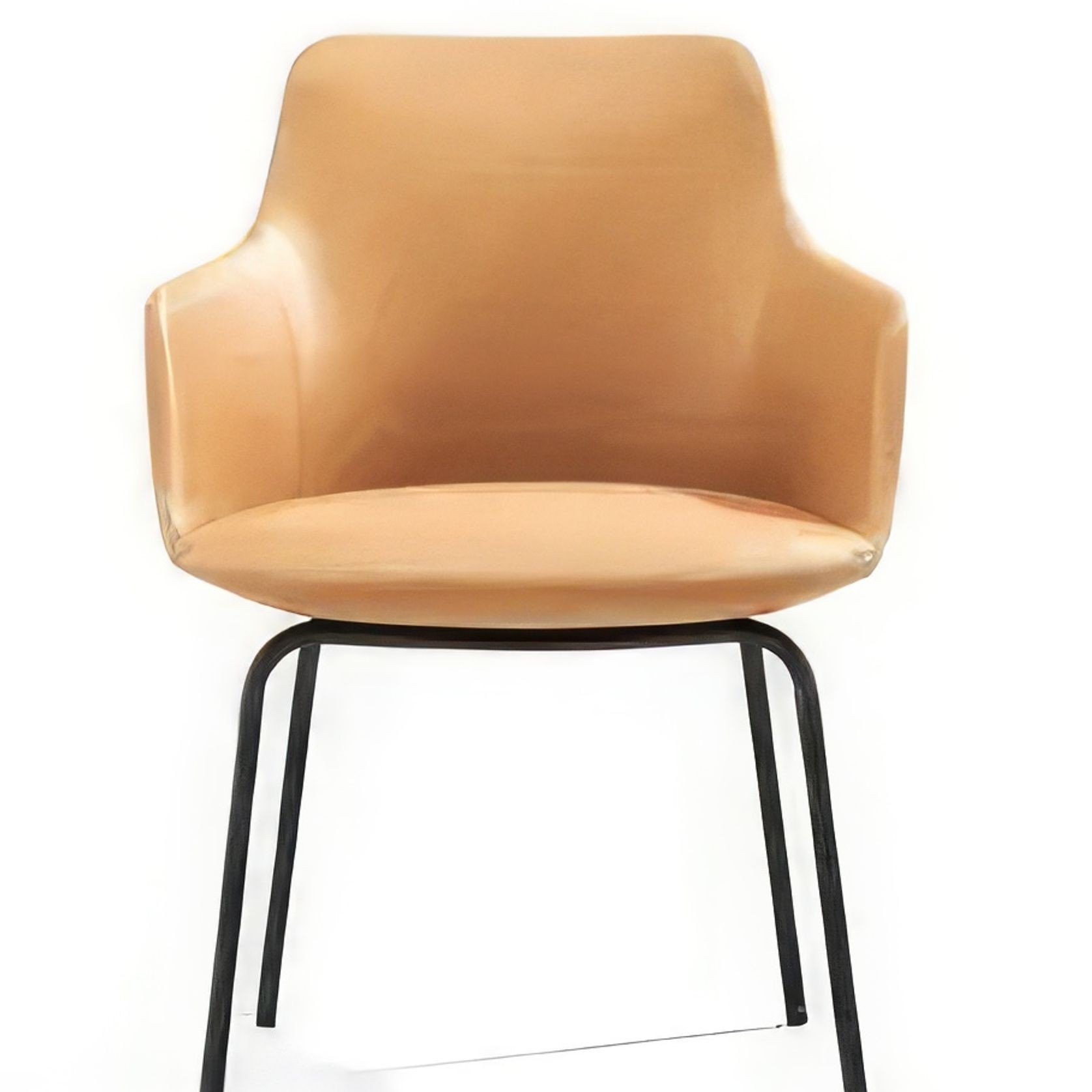 Telopea Arm Chair 3 gallery detail image