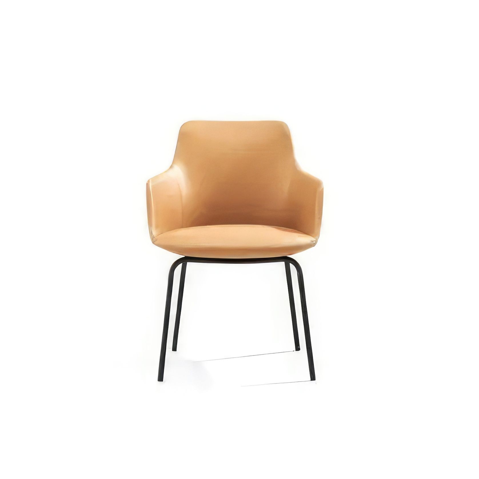 Telopea Arm Chair 3 gallery detail image