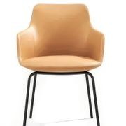 Telopea Arm Chair 3 gallery detail image