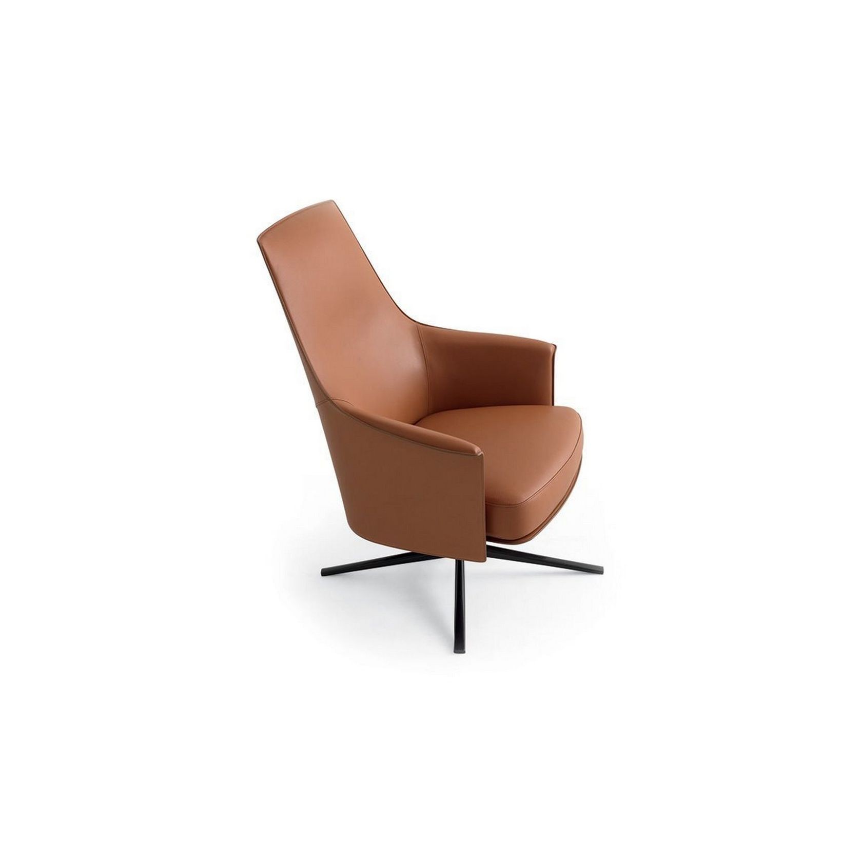 Stanford Lounge Armchair gallery detail image
