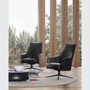 Stanford Lounge Armchair gallery detail image