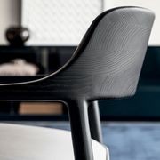 Walter Armchair by Molteni&C gallery detail image