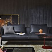 Chelsea Sofa by Molteni&C gallery detail image