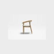 Forrest | Armchair gallery detail image