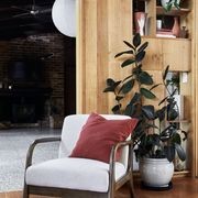 Paris Beige Occasional Chair | Walnut | Hardwood Frame gallery detail image
