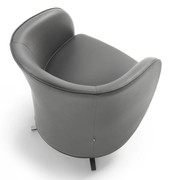Well Swivel Armchair gallery detail image