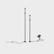 Reed M Solar Spike Light gallery detail image
