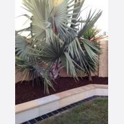 Texture Stone Natural | Sandstone gallery detail image