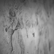 Suave Polished Plaster gallery detail image