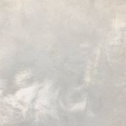 Suave Polished Plaster gallery detail image