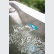 Pleasure | Signature Spa Pool gallery detail image